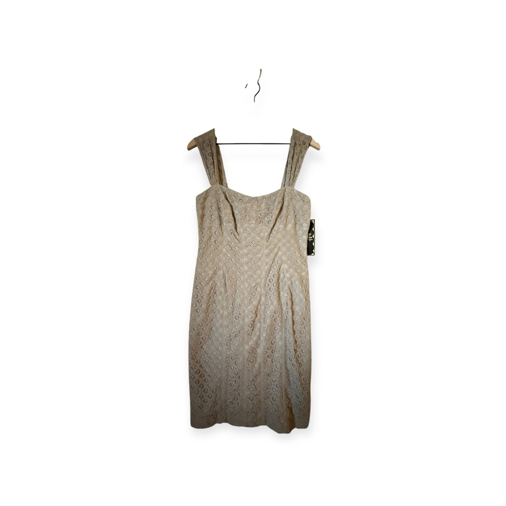 Suzi Chin for Maggy Boutique Dove Gray Lace Mini Dress